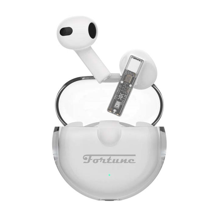 Fortune X True Wireless Earbuds_1